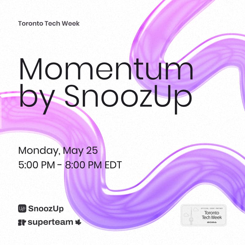 Cover Image for Momentum by SnoozUp