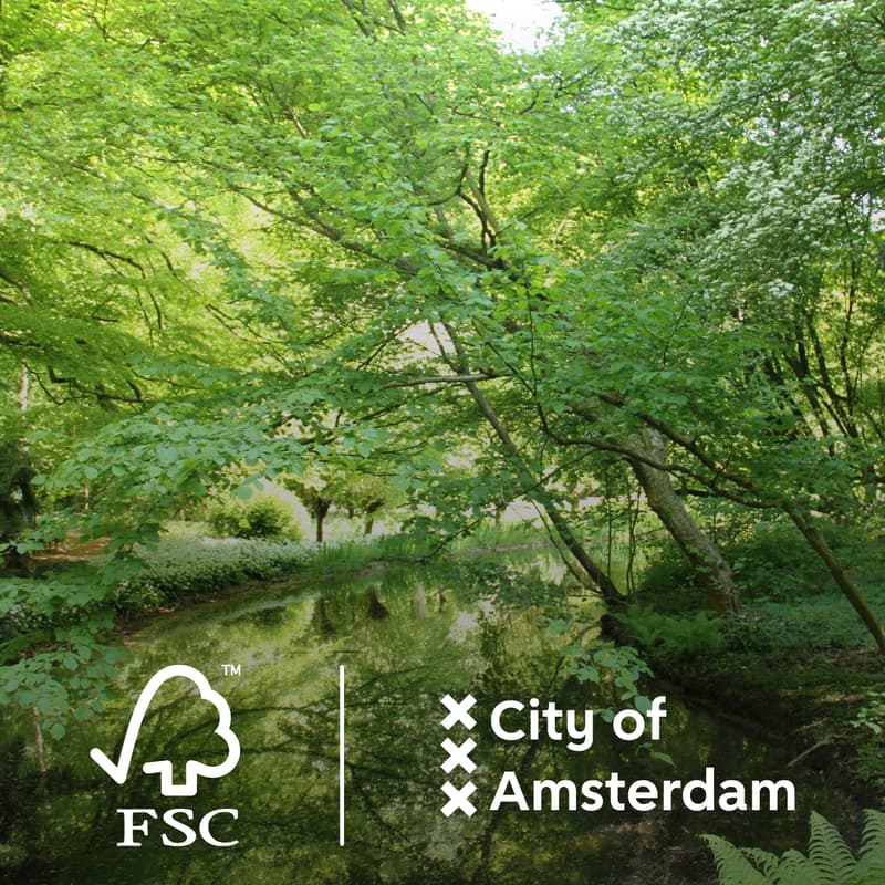 Cover Image for Resilience and Returns: Investing in Forests as Natural Capital – an exclusive field trip at PRI In Person