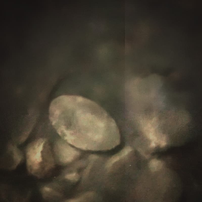 Cover Image for ColourLab: Analog Futures Workshop
