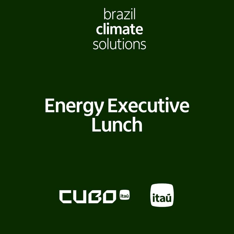Cover Image for Energy Executive Lunch