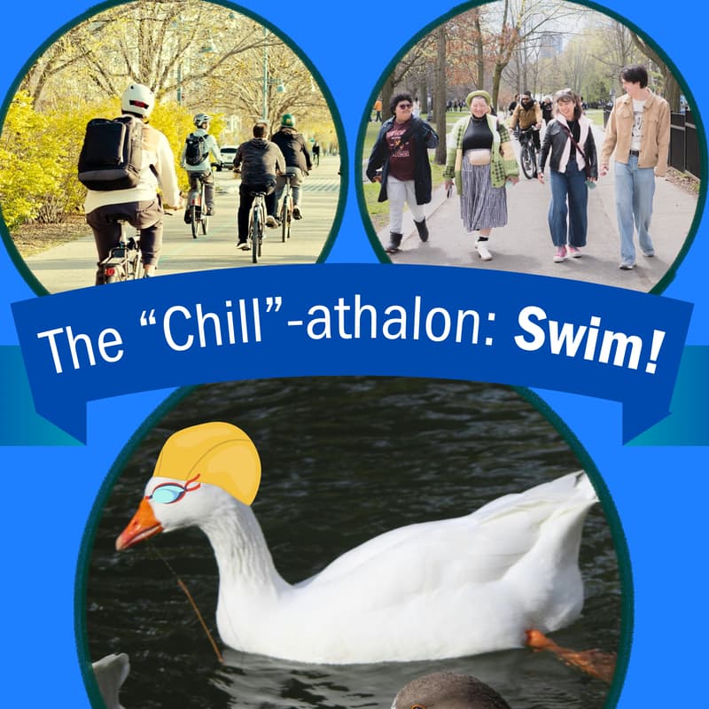 Cover Image for Chillathalon #1 - The swim part