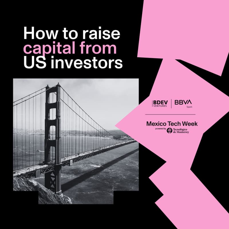 Cover Image for How to Raise Capital from US Investors