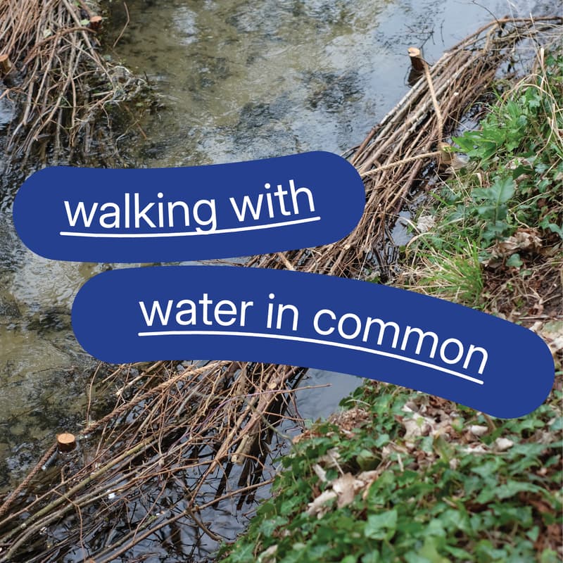 Cover Image for Walking with Water in Common
