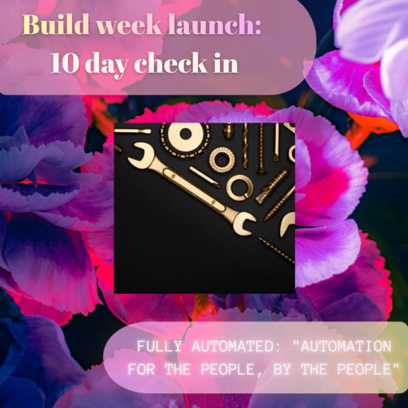 Cover Image for Build week launch - 10 day check in