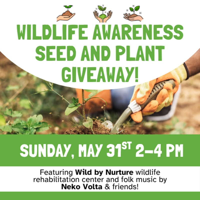 Cover Image for Wildlife Awareness Seed and Plant Giveaway