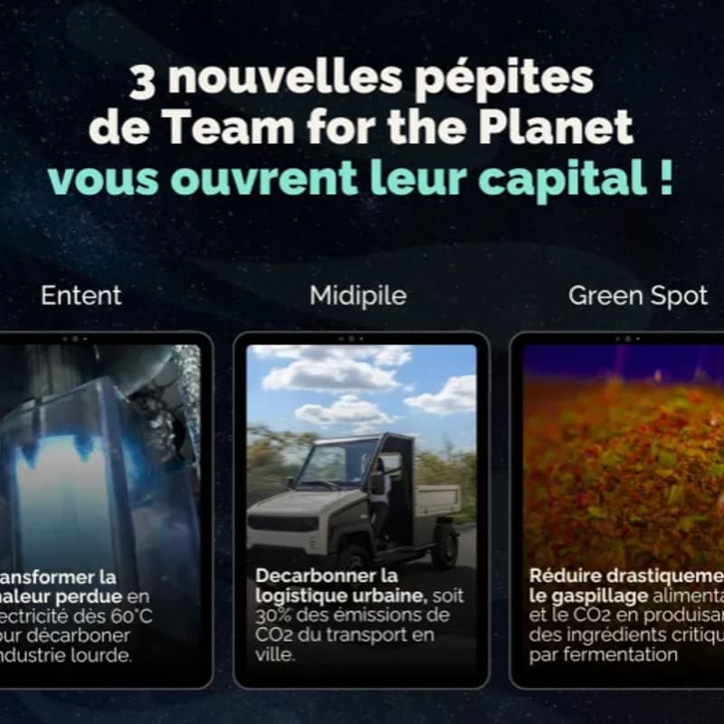 Cover Image for Investissement en direct : Le Live