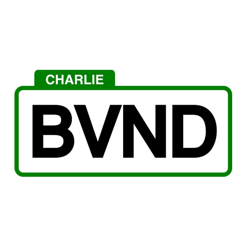 Cover Image for Boston VN Dev Hang Out!