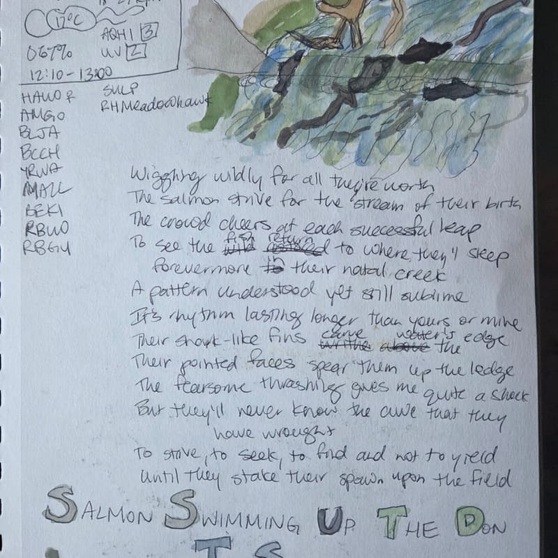 Cover Image for Nature Journaling and Sketching the Fall Salmon Migration