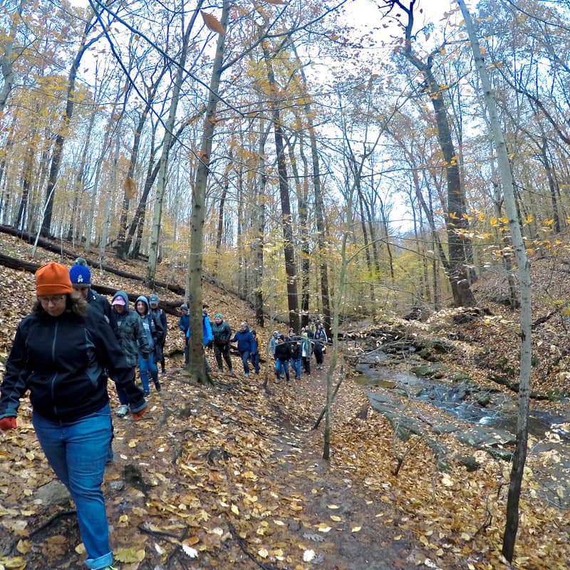Cover Image for Foliage Hike in Central Vermont - Vermont