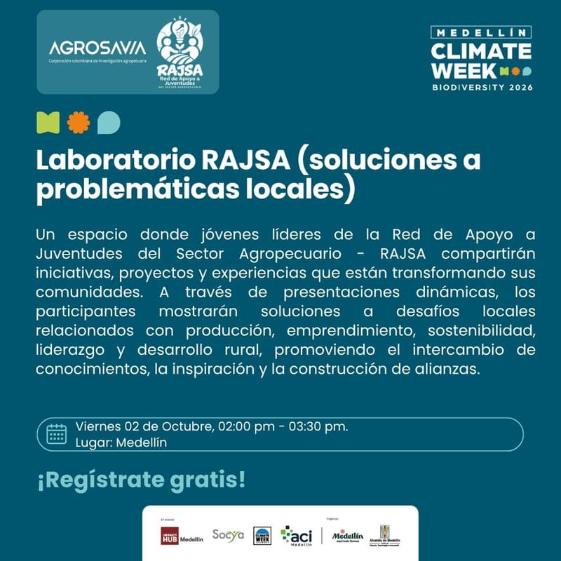 Cover Image for Laboratorio RAJSA (soluciones a problemáticas locales)