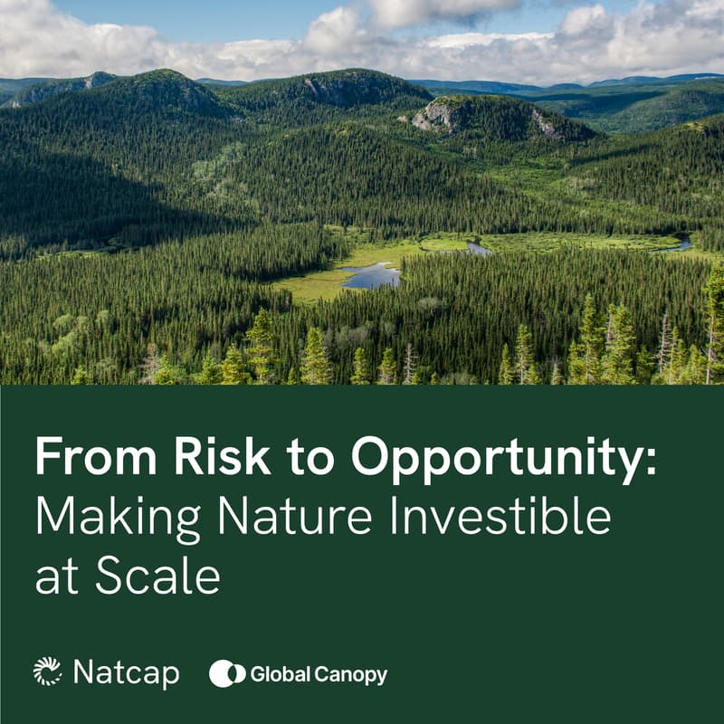 Cover Image for From Risk to Opportunity: Making Nature Investible at Scale