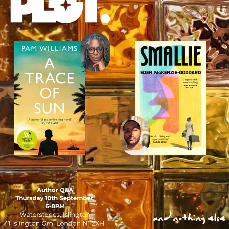 Cover Image for For The Plot Session 2: A Trace Of Sun x Smallie
