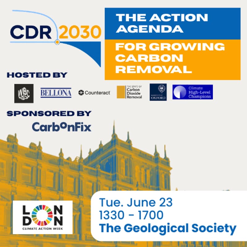 Cover Image for CDR2030: The Action Agenda for Growing Carbon Removal