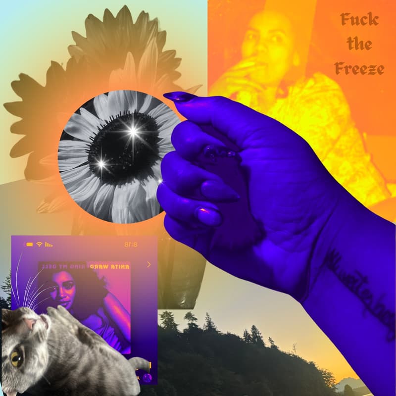 Cover Image for F*ck the Freeze: A Speed-Dating and Wellness Resource Fair for Black Queer Folks