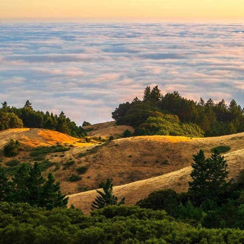 Cover Image for Monday Founders Hike | Post - YC SUS