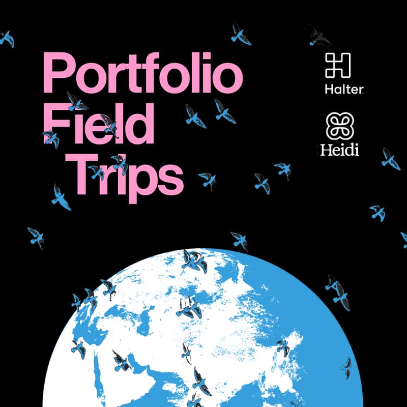 Cover Image for Portfolio Field Trips: Halter & Heidi Edition