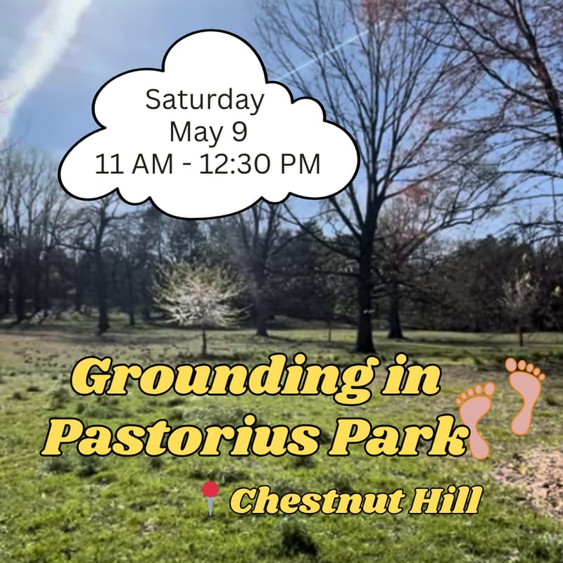 Cover Image for Grounding in Pastorius Park
