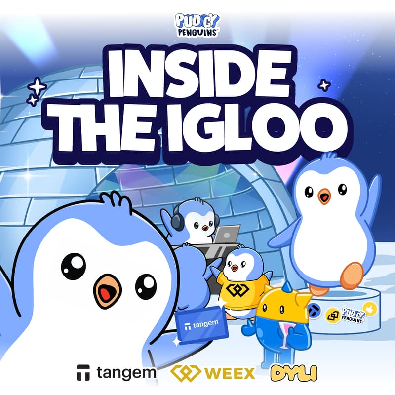 Cover Image for Inside the Igloo
