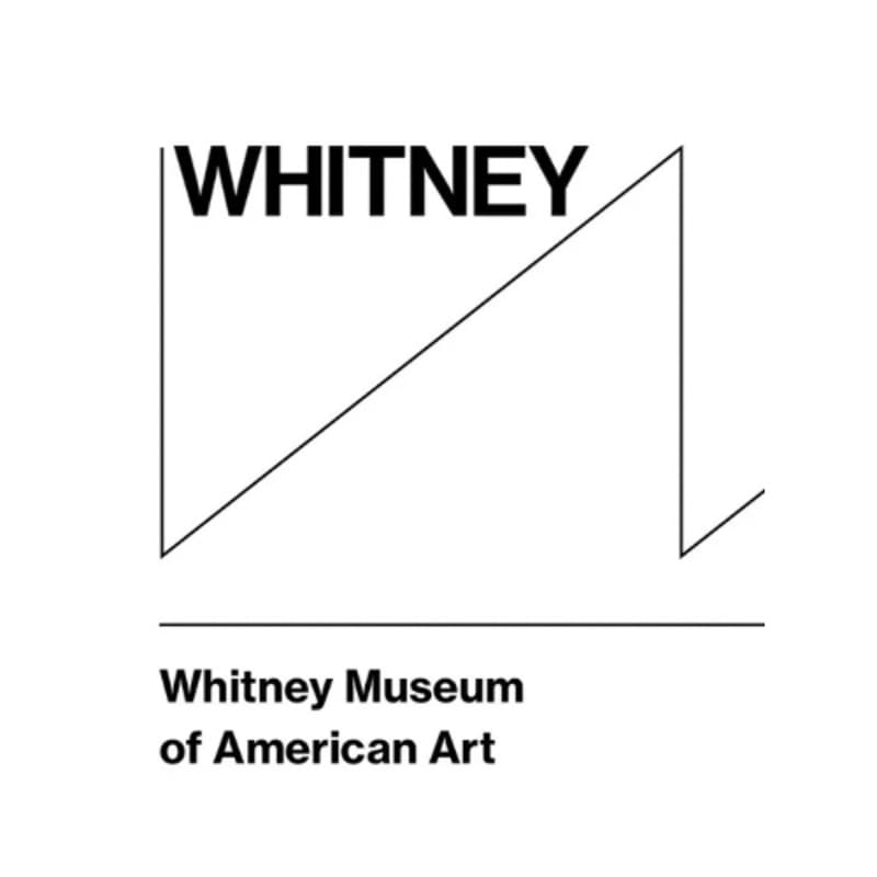 Cover Image for Whitney Museum Night