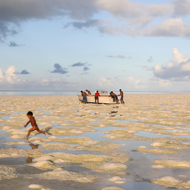 Cover Image for OCEANIA: Journey to the Center Screening and Q&A with Director Natalie Zimmerman