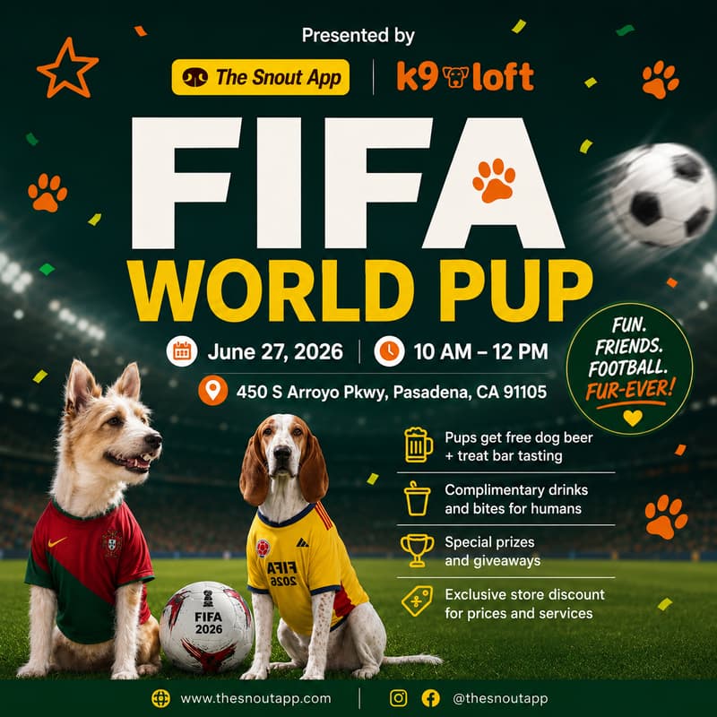 Cover Image for FIFA World Pup