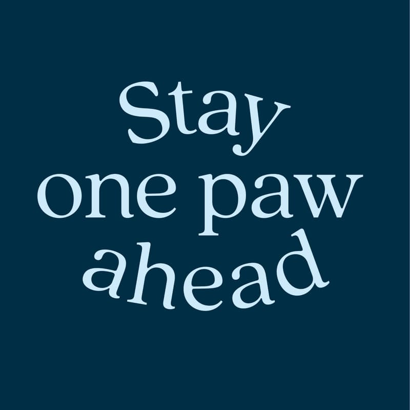 Cover Image for Stay One Paw Ahead Talk
