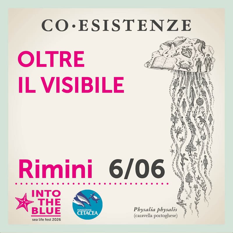 Cover Image for Oltre il visibile
