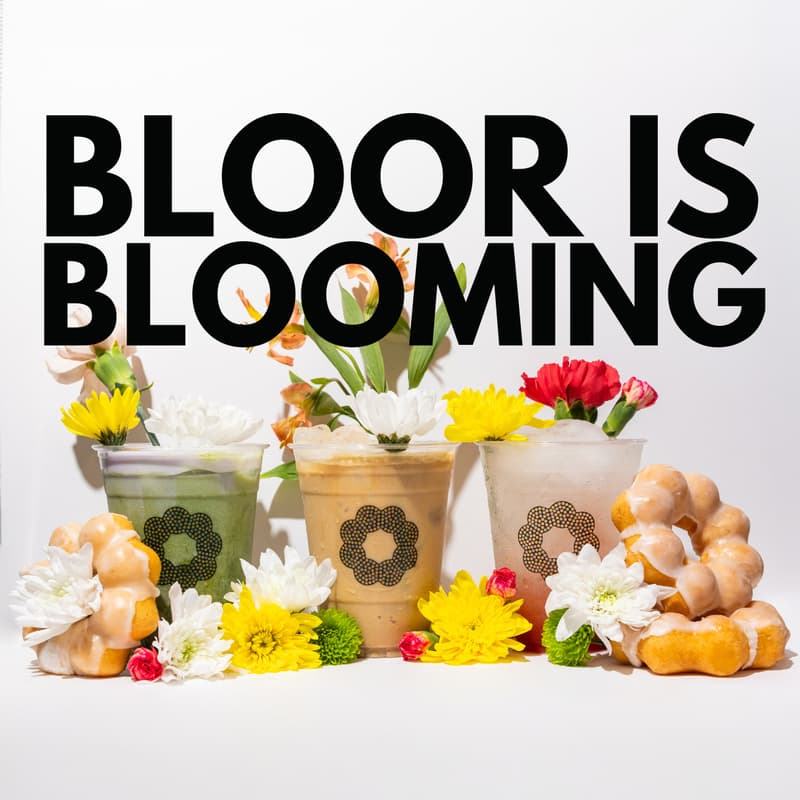 Cover Image for Bloor is Blooming: Isabella's Donuts is Relaunching