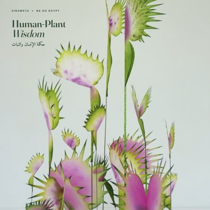 Cover Image for Human Plant Wisdom