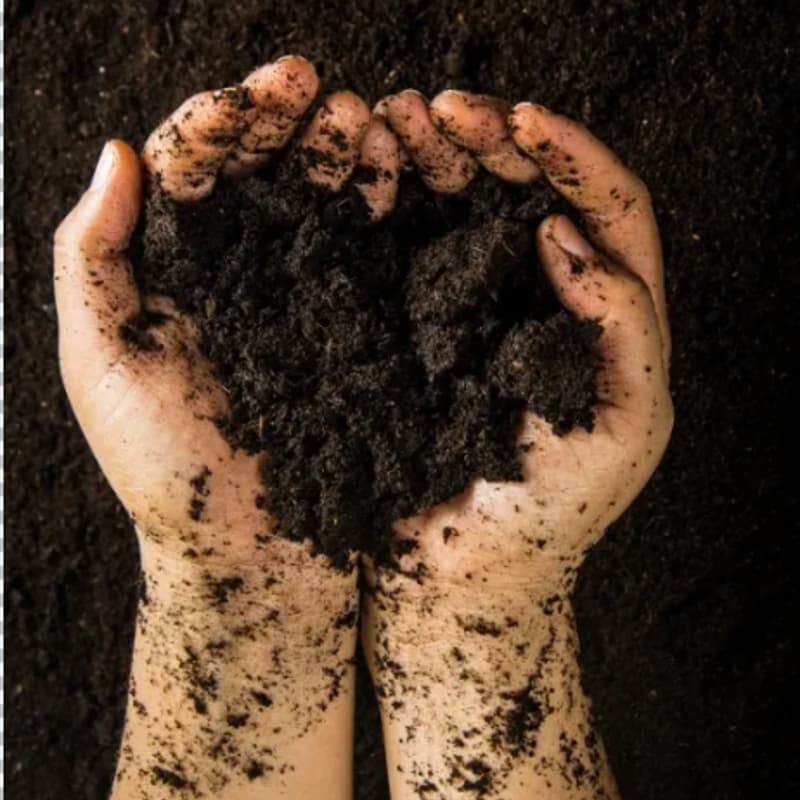 Cover Image for 11/21 Soil & Compost Workshop