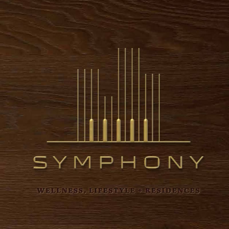 Cover Image for Pizza & Vinho no Symphony - 11/06