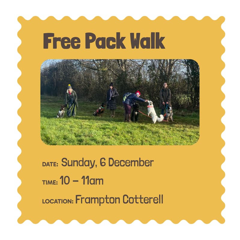 Cover Image for Festive Frolic - free pack walk