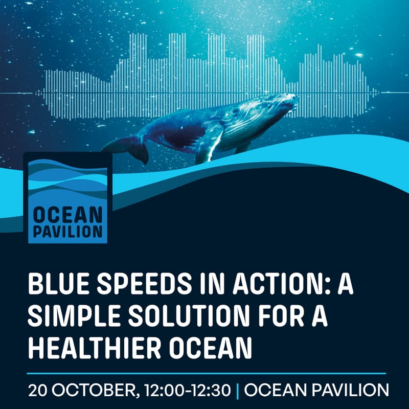 Cover Image for Blue Speeds in Action: A Simple Solution for a Healthier Ocean