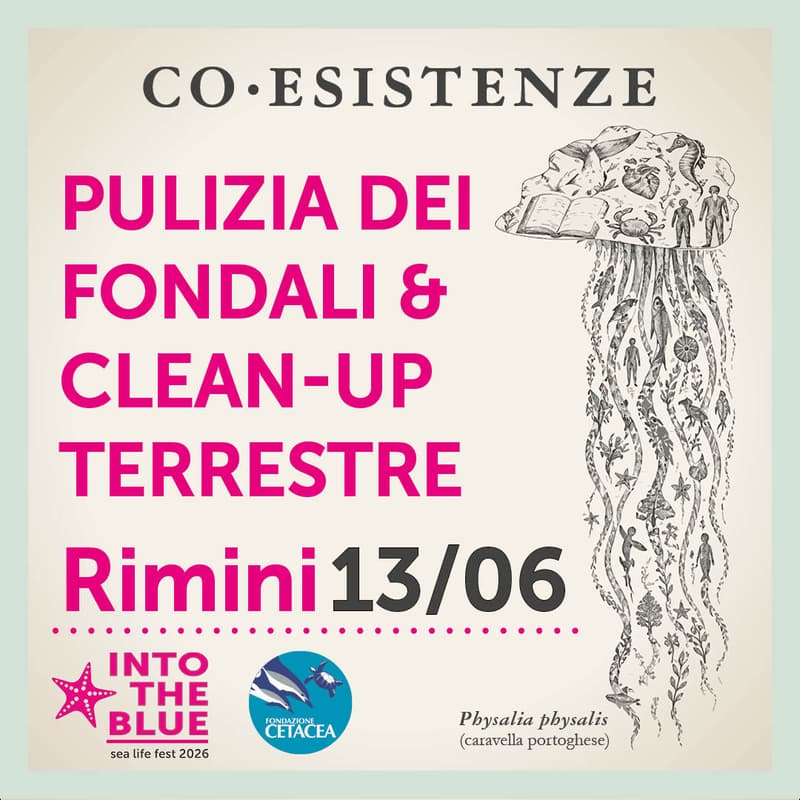 Cover Image for Pulizia dei fondali & clean-up terrestre