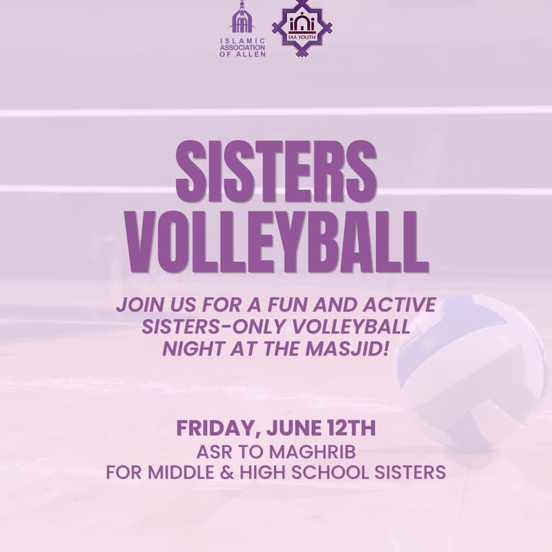 Cover Image for Sisters Volleyball