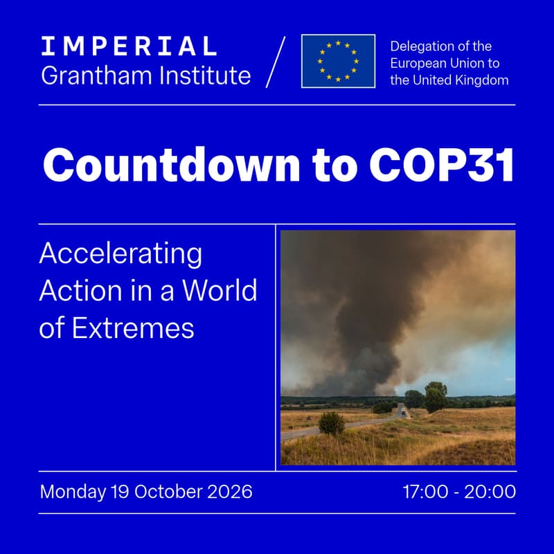 Cover Image for Countdown to COP31: Accelerating Action in a World of Extremes