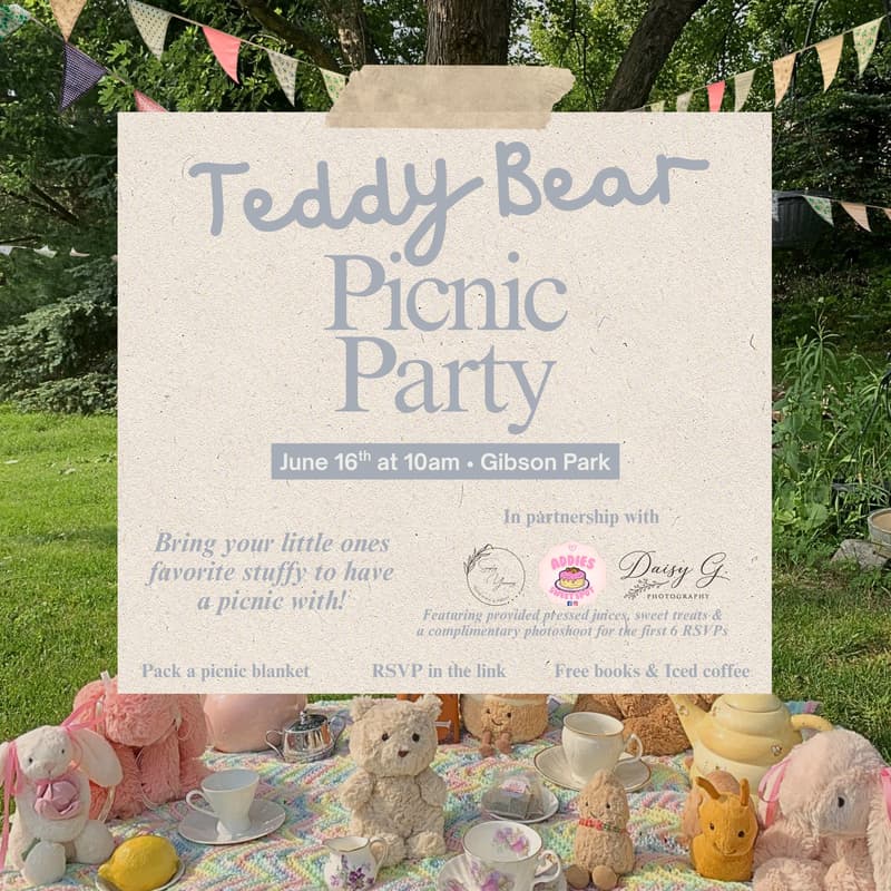 Cover Image for Teddy Bear Picnic Party