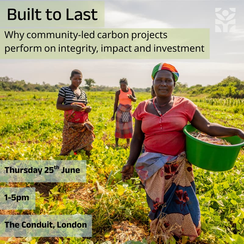 Cover Image for Built to Last: Why community-led carbon projects perform on integrity, impact and investment