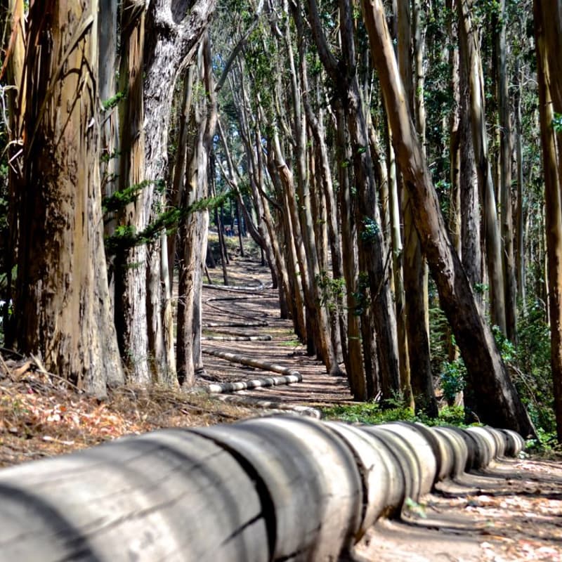 Cover Image for Land Art In presidio
