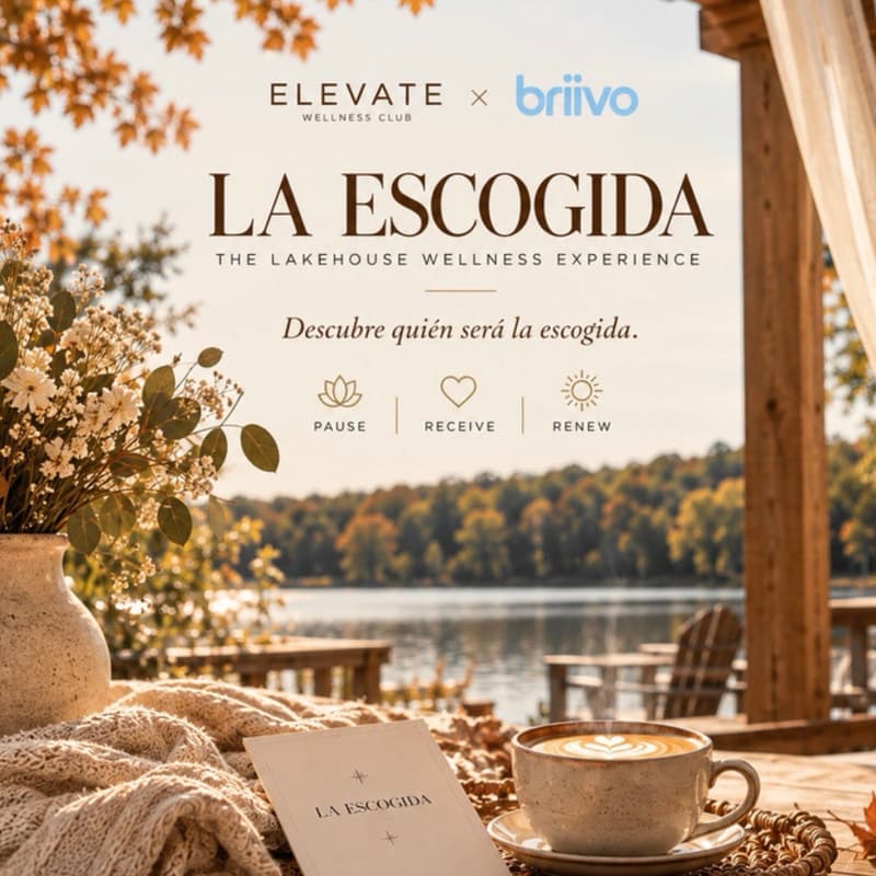 Cover Image for PAUSE • RECEIVE • RECONNECT