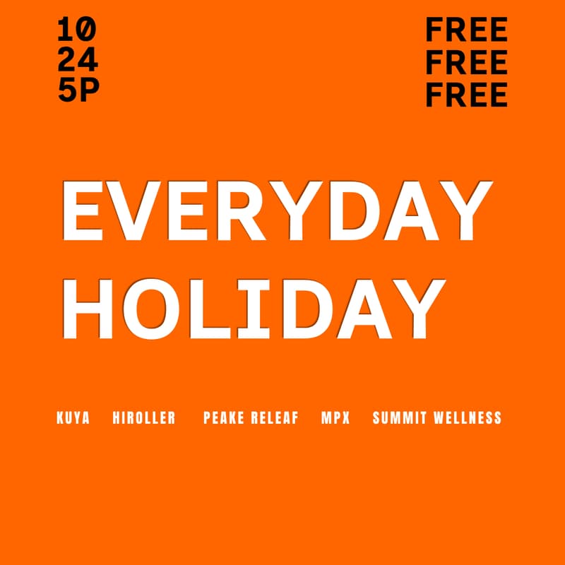 Cover Image for Everyday Holiday