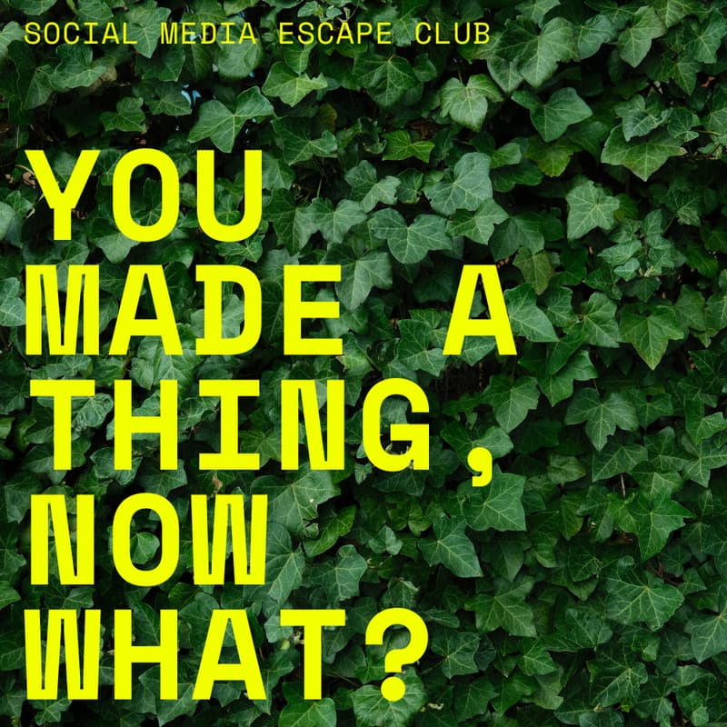 Cover Image for YOU MADE A THING, NOW WHAT?