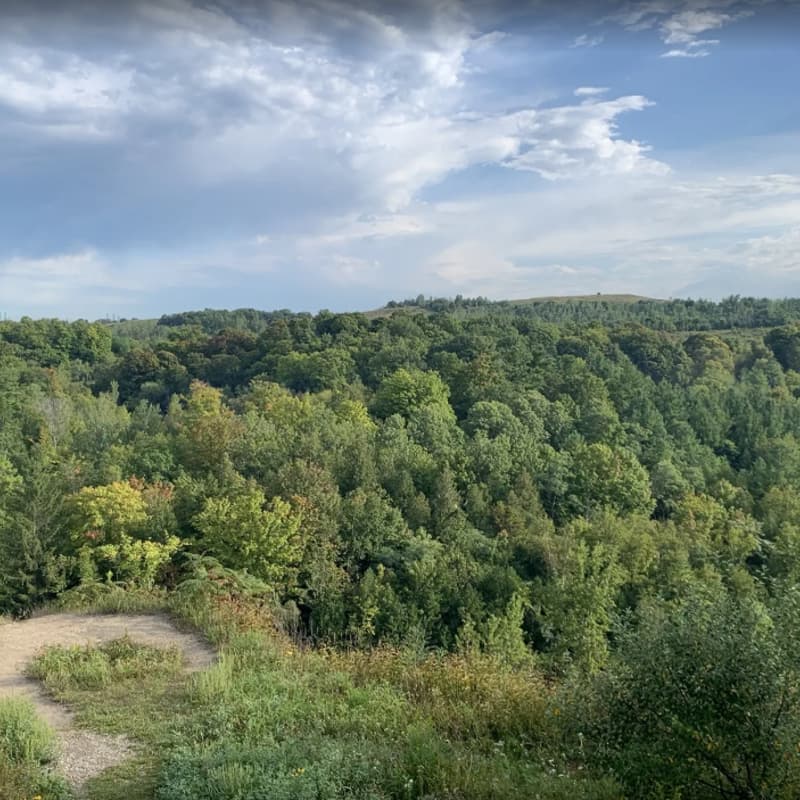 Cover Image for Easyish local hike - Rouge National Urban Park - ~7km