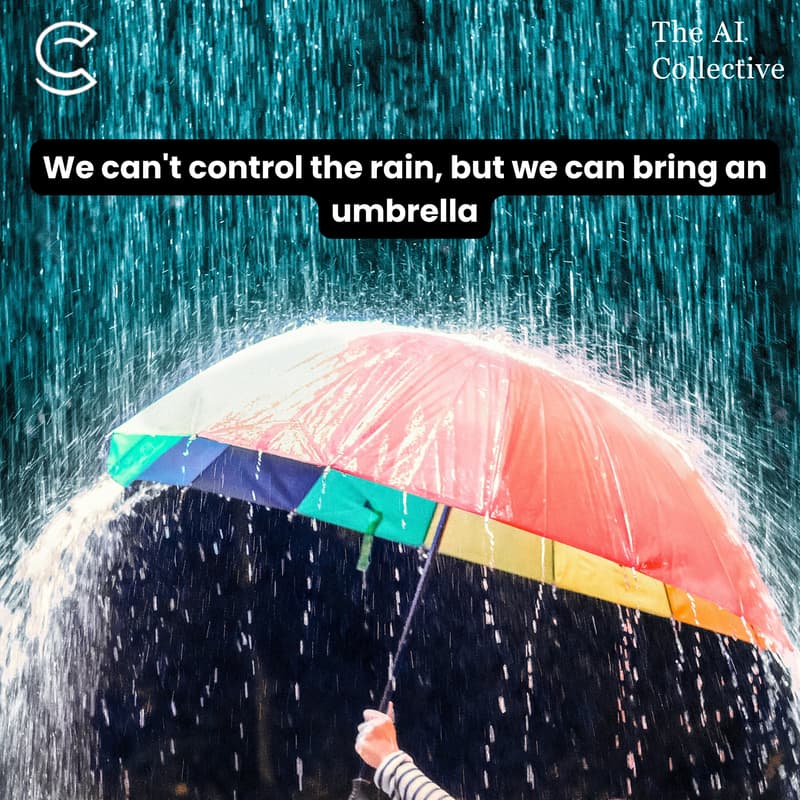 Cover Image for We can't control the rain, but we can bring an umbrella