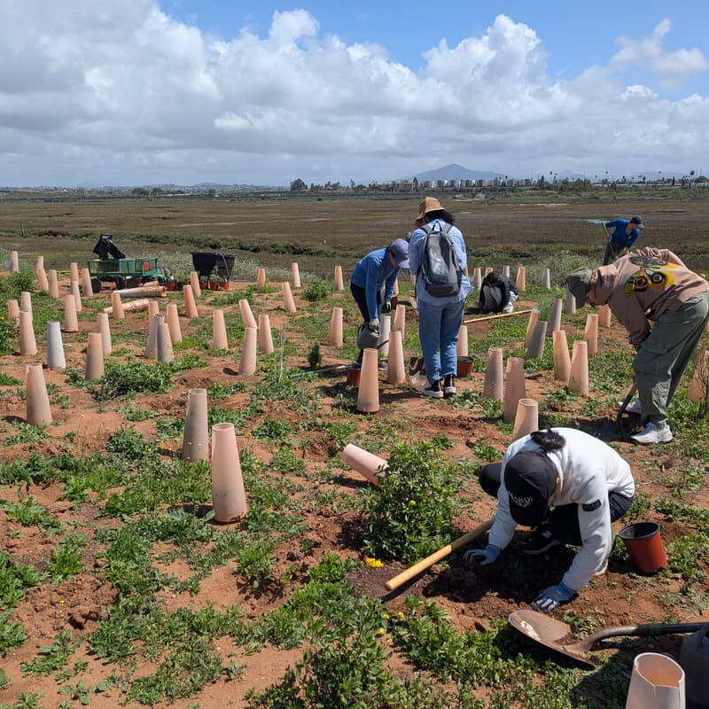 Cover Image for Community Restoration Day