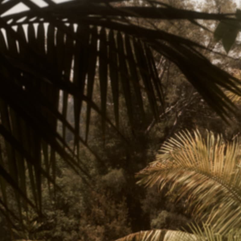 Cover Image for ALO MANHATTAN VILLAGE: WELLNESS WALK
