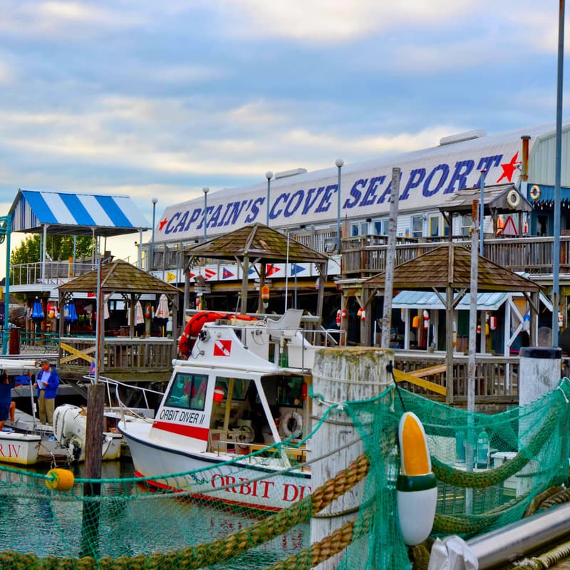 Cover Image for Tech/IT/Security/AI Folks in Fairfield County CT - 5th Annual Summer Happy Hour