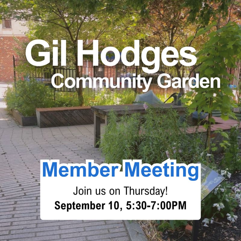 Cover Image for Gil Hodges Garden Member Meeting