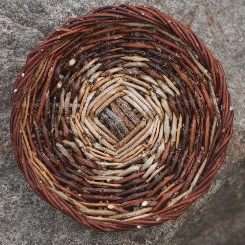 Cover Image for Tiny Willow Bowl