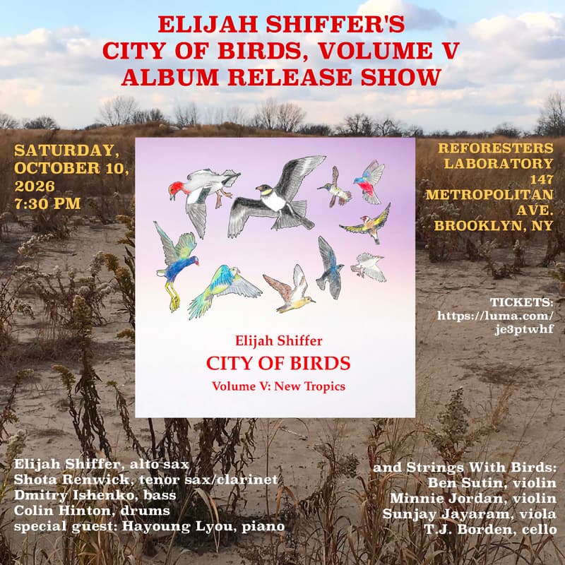 Cover Image for Elijah Shiffer's City Of Birds: Volume V Album Release Show